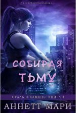 Собирая тьму [ЛП].jpeg
