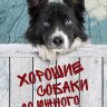 Хорошие собаки до Южного полюса не добираются