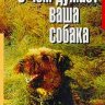 О чём думает Ваша собака