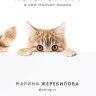 КОТоЛОГИКА. О чем молчит кошка