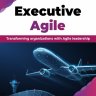 Executive Agile - Transforming organizations with Agile leadership